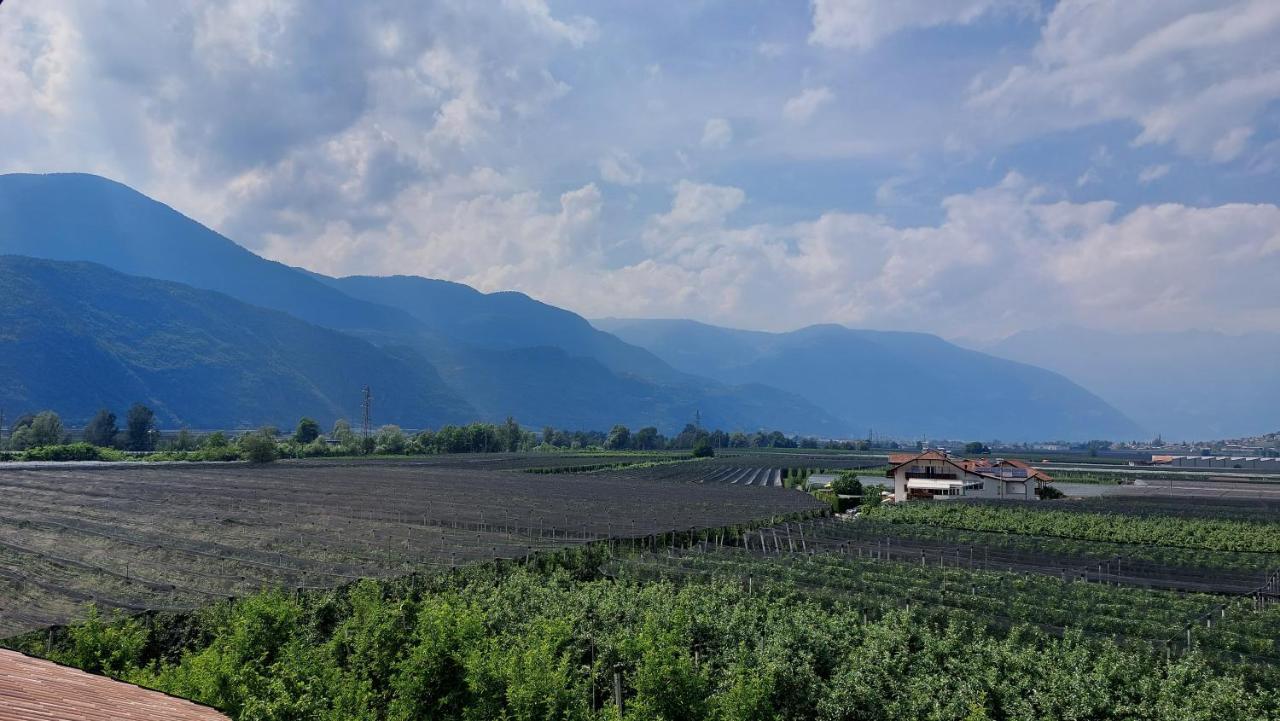 Mittelbergerhof Ferienwohnungen Vilpiano Bagian luar foto
